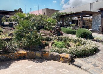 Giardino - Independent house Pantelleria - photo 41
