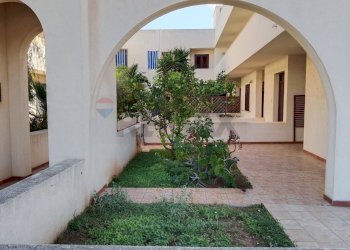 Terrazza - Quadrilocale VIA ENRICO FERMI
 
43, San Vito Lo Capo - foto 6