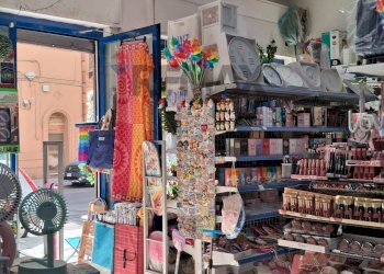 Dispensa di stoccaggio - Shop Via Filippo Parlatore
74-74/a, Palermo - photo 6