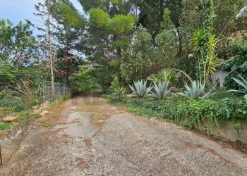 Giardino - Villa Contrada Malpertugio
 
SNC, Pollina - photo 7