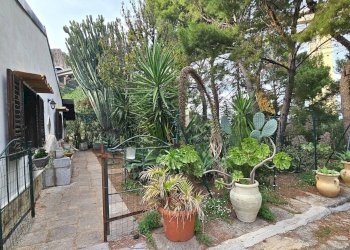 Giardino - Villa Contrada Malpertugio
 
SNC, Pollina - photo 35
