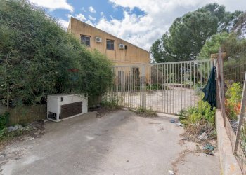 Casa all\'aperto - Farm CONTRADA PONTE BAGNI
1, Castellammare del Golfo - photo 11