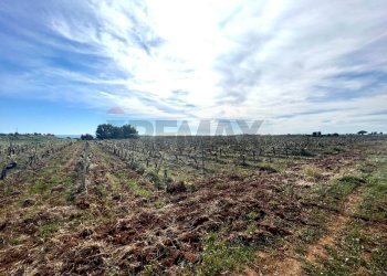 Vista delle montagne - Building land SP79, Menfi - photo 4