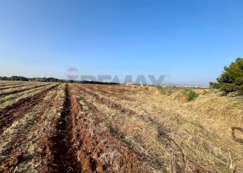 Vista delle montagne - Building land SP79, Menfi - photo 5