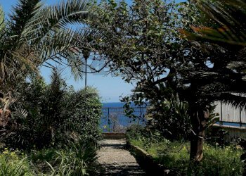 Giardino - Villa Viale John Fitzgerald Kennedy
 
10, Casteldaccia - photo 15