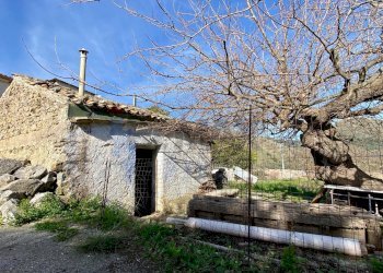 Casa all\'aperto - Rustico via olimpia frangipani ricciardi
 
11, Monreale - foto 1