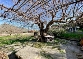 Giardino - Rustico via olimpia frangipani ricciardi
 
11, Monreale - foto 3