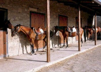 Edificio all\'aperto - Rustico Petralia Sottana - foto 33
