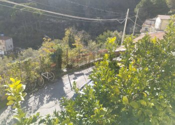Giardino - Four-room apartment via Franzoni
 
25, Monreale - photo 4