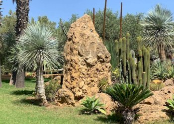 Giardino - Villa Castelvetrano - photo 14