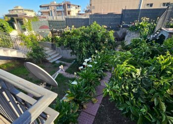 Giardino - Casa semi indipendente Via Vittorio Emanuele Da Bormida
 
57, Catania - foto 5