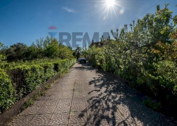 Giardino - Villa Contrada Bauccio
 
snc, Piazza Armerina - foto 50