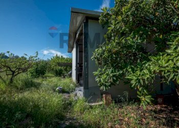 Giardino - Villa Contrada Bauccio
 
snc, Piazza Armerina - foto 51