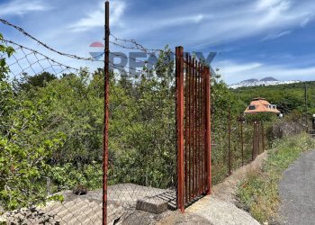Giardino - Villa VIA CAVALIERE BOSCO
 
SN, Santa Maria di Licodia - foto 33