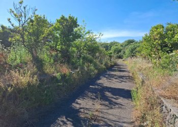 Giardino - Building land Via Tropea
snc, Aci Sant'Antonio - photo 8