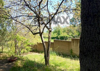 Giardino - Villa Via Montelaguardia
 
15, Randazzo - photo 6