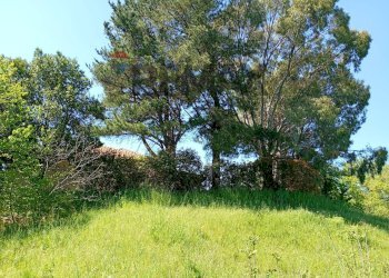 Giardino - Villa Via Montelaguardia
 
15, Randazzo - photo 10