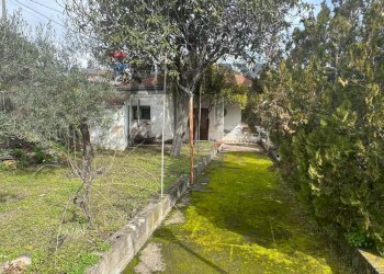 Giardino - Villa via Delle Ginestre
19, Pedara - foto 4