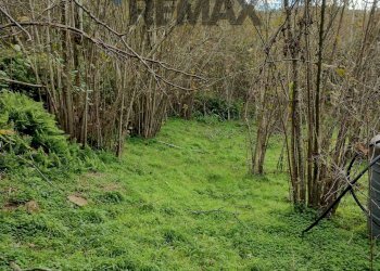 Giardino - Terreno agricolo CONTRADA NOVELLO
63/57, Ficarra - foto 8