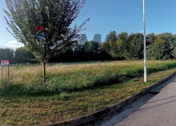 Giardino - Terreno edificabile Piazzola sul Brenta - foto 6