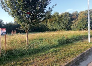 Giardino - Terreno edificabile Piazzola sul Brenta - foto 7