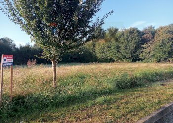 Giardino - Terreno edificabile Piazzola sul Brenta - foto 8
