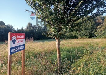 Giardino - Terreno edificabile Piazzola sul Brenta - foto 9