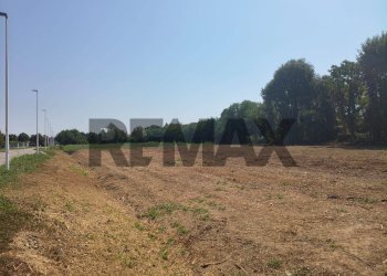 Giardino - Terreno edificabile Viale San Remo
83b, Piazzola sul Brenta - foto 4