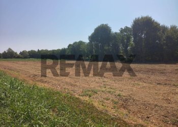 Giardino - Terreno edificabile Viale San Remo
83b, Piazzola sul Brenta - foto 5