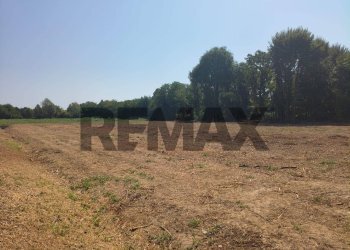 Giardino - Terreno edificabile Viale San Remo
83b, Piazzola sul Brenta - foto 7