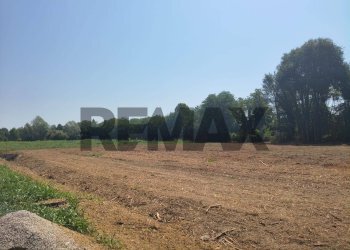 Giardino - Terreno edificabile Viale San Remo
83b, Piazzola sul Brenta - foto 8