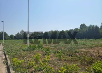 Giardino - Terreno edificabile Viale San Remo
83b, Piazzola sul Brenta - foto 9