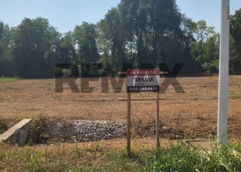 Giardino - Terreno edificabile Viale San Remo
83b, Piazzola sul Brenta - foto 11