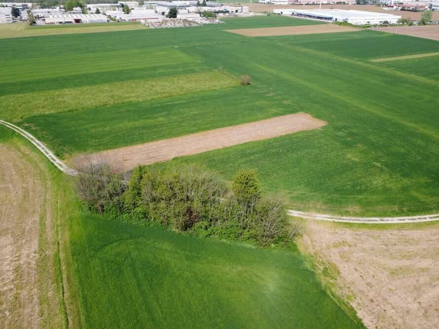 Foto 2 - Agricultural land via livornese
 
783, Pisa - photo 2