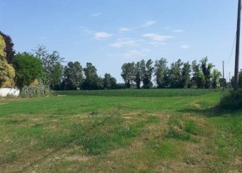 Foto 1 - Agricultural land via livornese
783, Pisa - photo 1