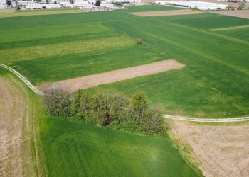 Foto 2 - Agricultural land via livornese
783, Pisa - photo 2