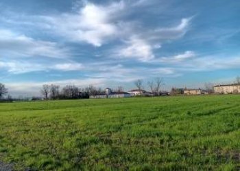 Foto 4 - Agricultural land via livornese
783, Pisa - photo 4