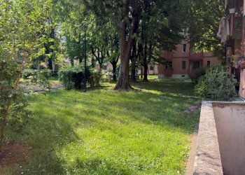Giardino - Warehouse Via Console Marcello
 
36, Milano - photo 15