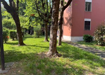 Giardino - Warehouse Via Console Marcello
 
36, Milano - photo 17