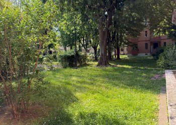 Giardino - Warehouse Via Console Marcello
 
36, Milano - photo 23
