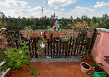Balcone - Trilocale VIA BAMBINI DI BESLAN
 
14, San Giuliano Milanese - foto 17