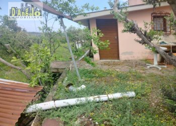 Foto 5 - Independent house Ripatransone - photo 5