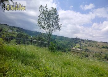 Foto 22 - Independent house Ripatransone - photo 22