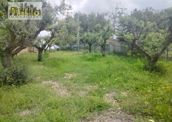 Foto 37 - Independent house Ripatransone - photo 37