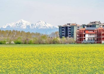 Area edificabile - Terreno edificabile Cinisello Balsamo - foto 1