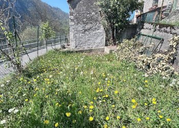 Foto 4 - Rustico VIA DON CORTINOVIS
 
NN, Val Brembilla - foto 4