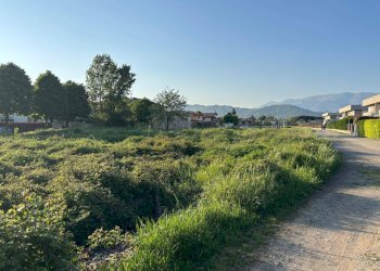 Foto 10 - Building land Via Casolini
 
30, Terno d'Isola - photo 10