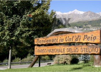 Vista delle montagne - Rustic Peio - photo 7