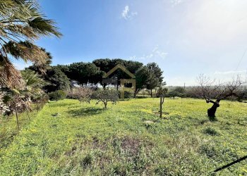 Foto 40 - Villa Contrada Passarello, Partinico - foto 40