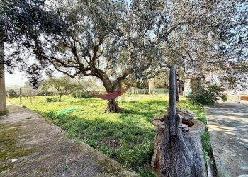 Foto 42 - Villa Contrada Passarello, Partinico - foto 42